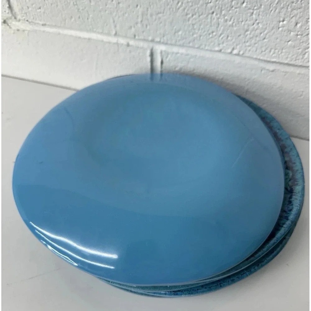 Williams Sonoma Reactive Blue Teal 11